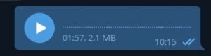 bug.jpg